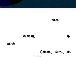 感染与免疫正常菌群与机会致病菌 教学课件