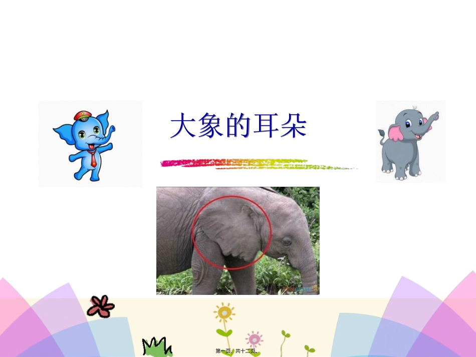 《大象的耳朵》教学课件_第1页