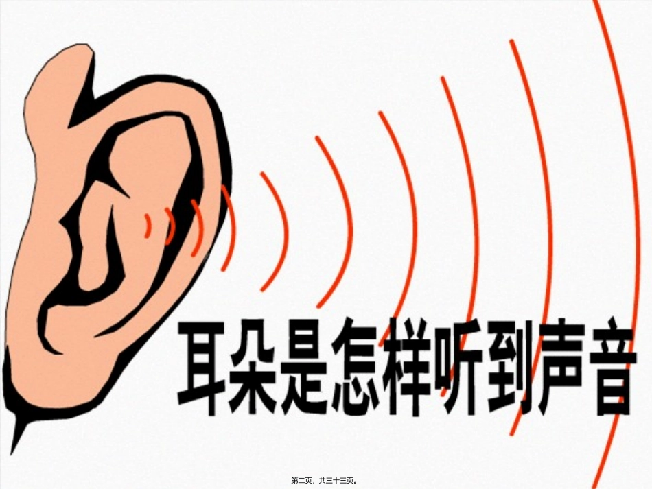 《耳和听觉》(正式上课用)教学课件_第2页