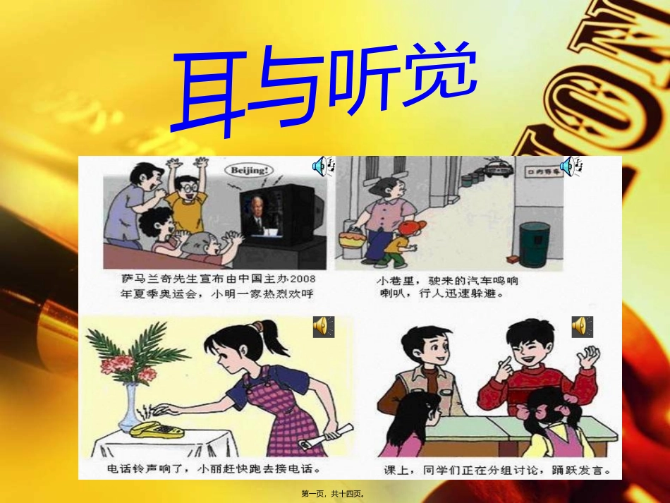 《耳与听觉》生物培训教学课件_第1页