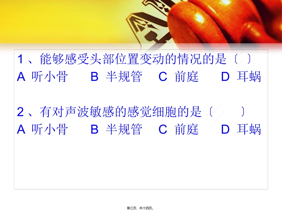 《耳与听觉》生物培训教学课件_第3页