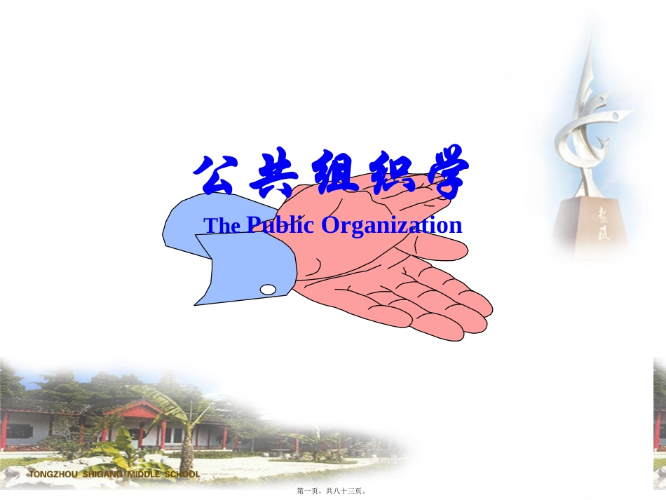 公共组织及公共组织学 教学课件_第1页