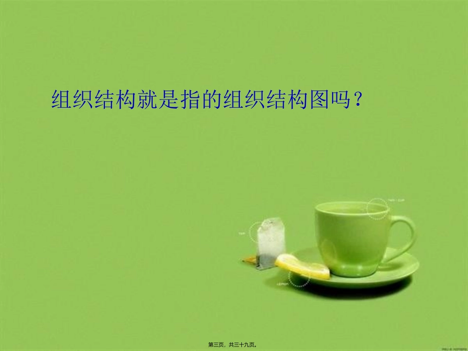 公共组织学教学课件第3章 公共组织结构 教学课件_第3页