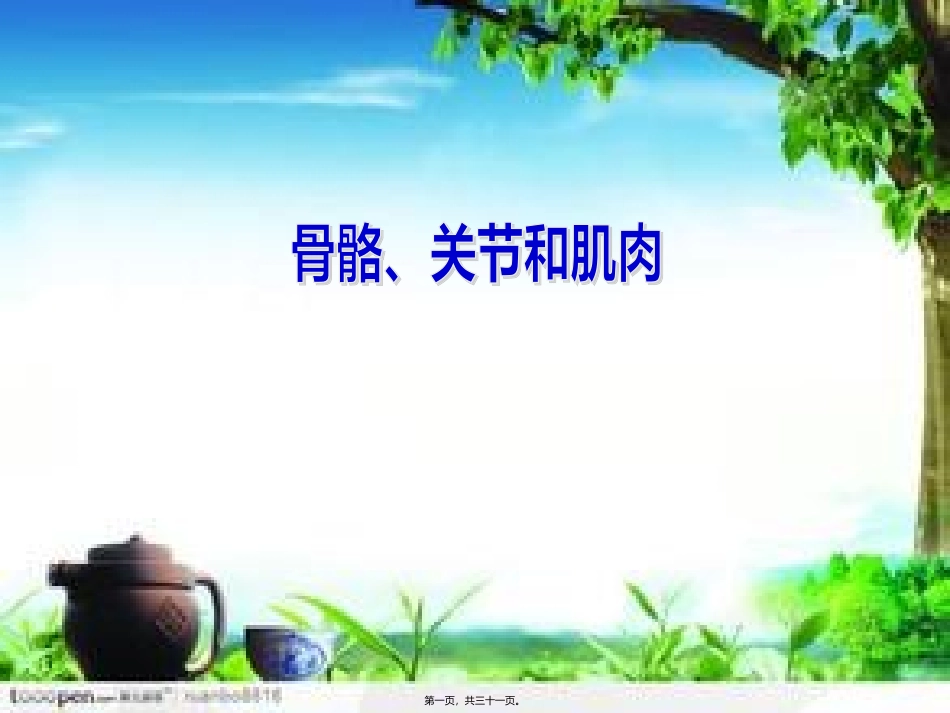 骨骼关节和肌肉 医学教学课件_第1页