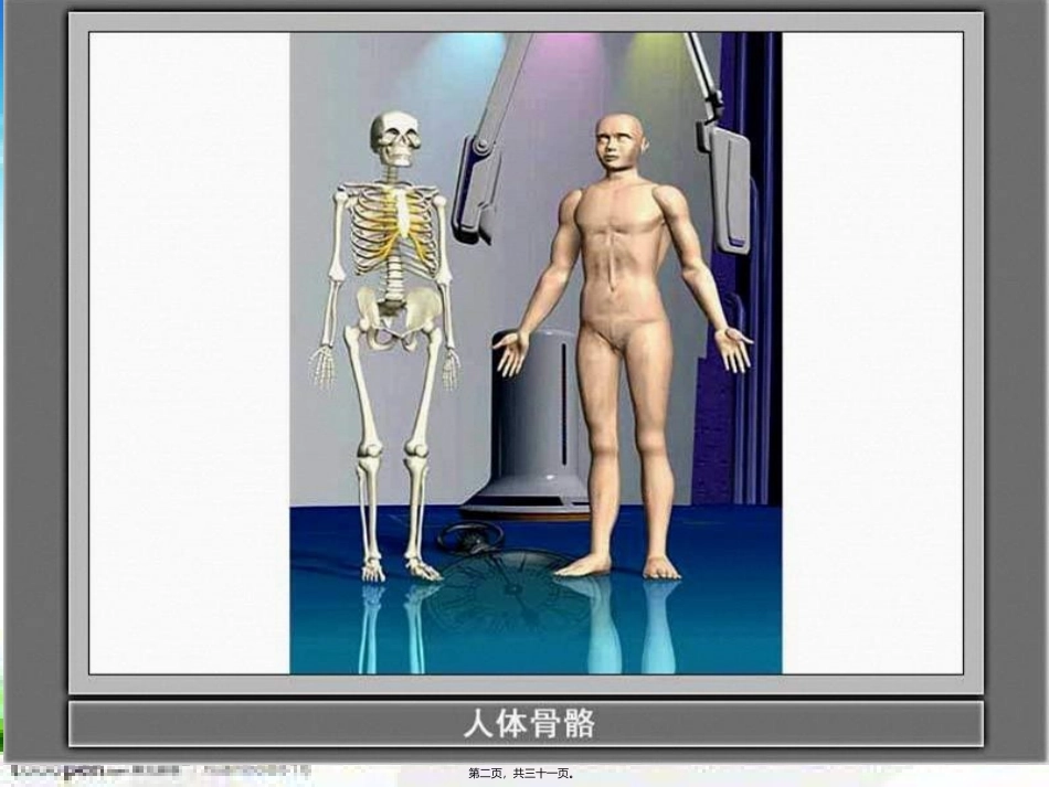骨骼关节和肌肉 医学教学课件_第2页