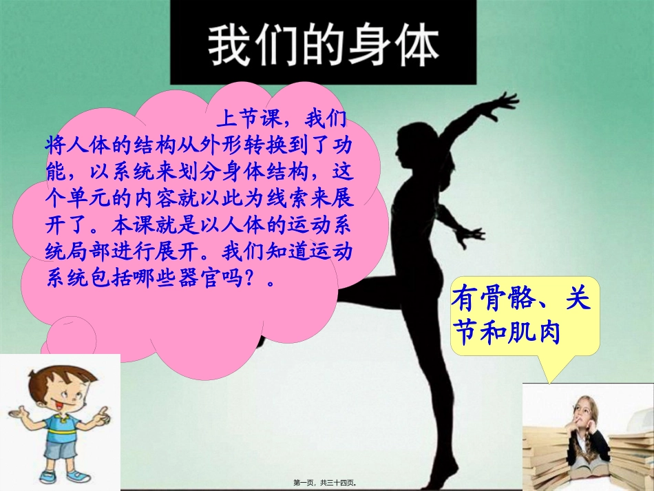 骨骼关节肌肉 教学课件_第1页