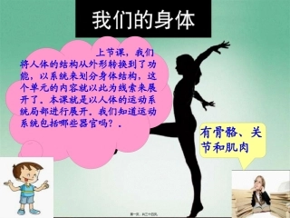 骨骼关节肌肉 教学课件