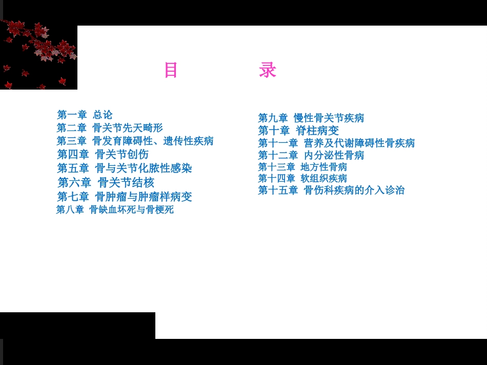 《骨伤科影像学》第一章医疗医学教学课件_第2页