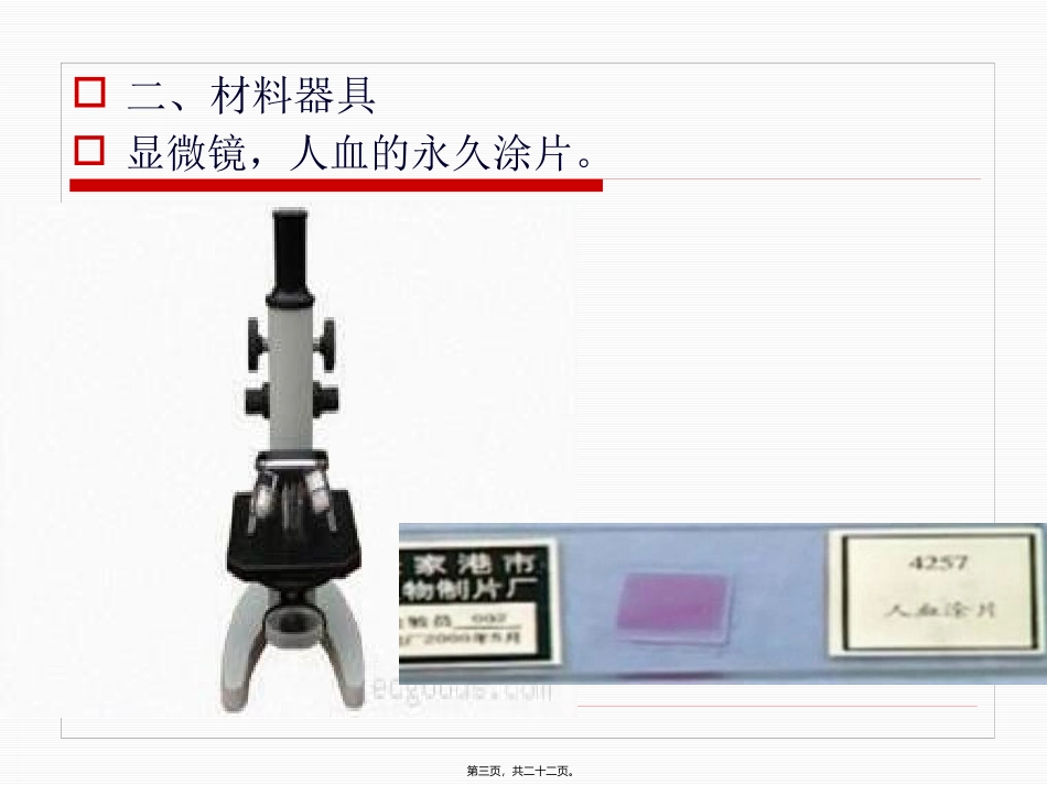 《观察人血的永久涂片》教学课件_第3页