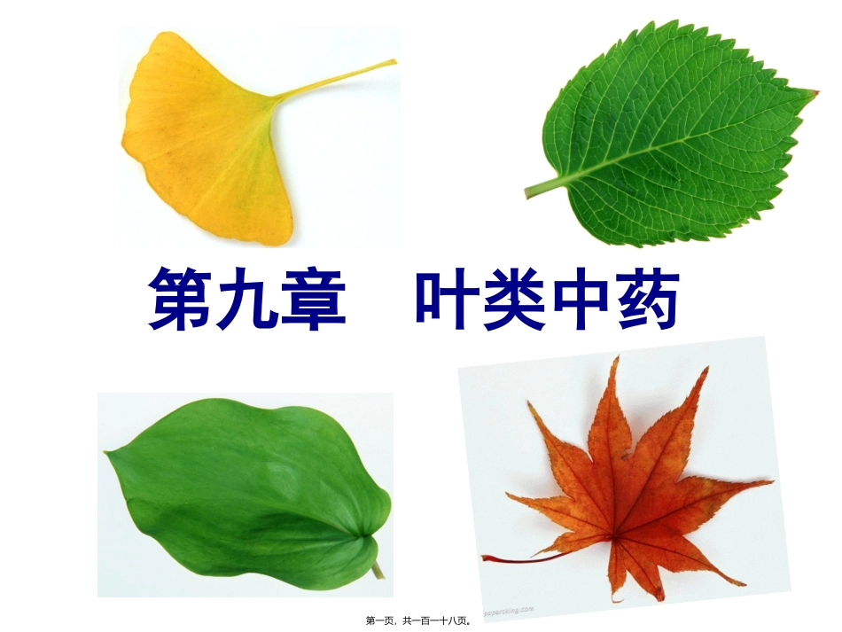 《花叶类药材》医学培训课件_第1页