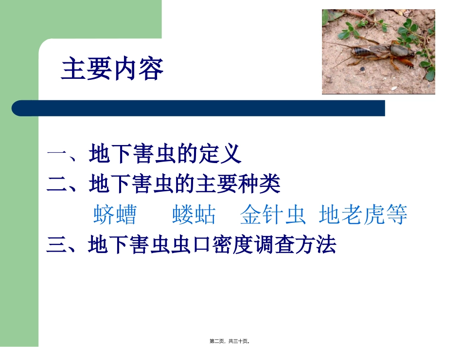 地下害虫调查_第2页