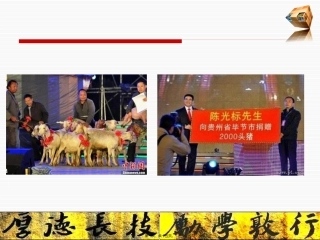 行政管理教学课件 公关活动目标与主题