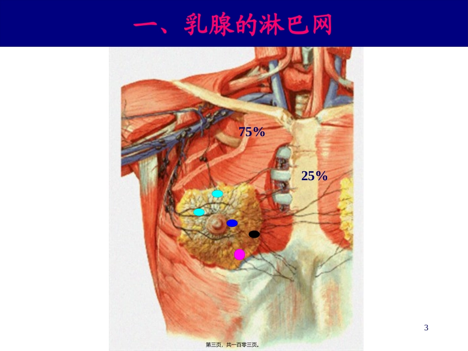 甲状腺乳腺 医学培训课件_第3页