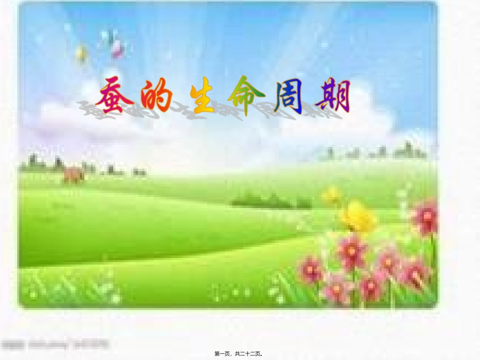 教学课件 蚕的生命周期_第1页