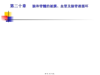 6-脑和脊髓的被膜、血管及脑脊液