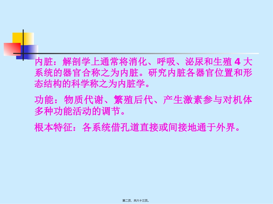 6--内脏学-消化_第2页