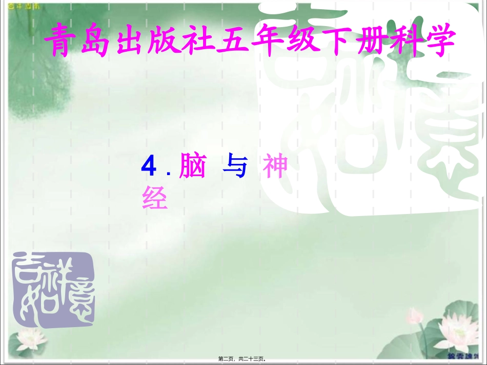 《脑与神经》五年级下册科学公开课适用课件_第2页