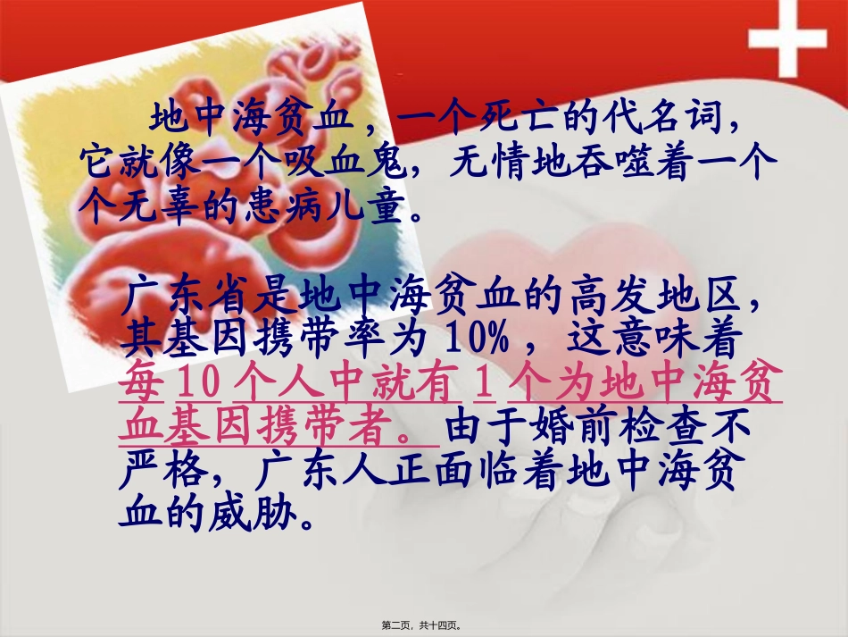 地中海贫血宣传PPT_第2页