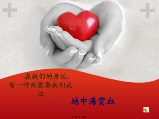 地中海贫血宣传PPT