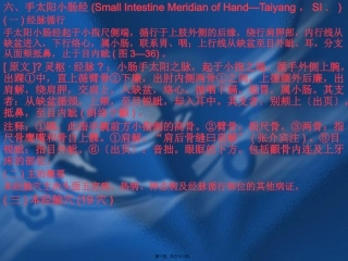 6手太阳小肠经