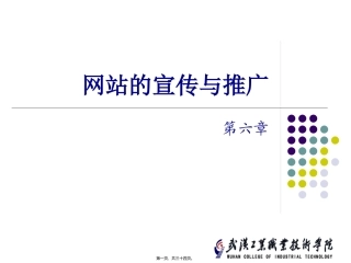 6网站的宣传与推广