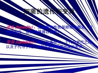 教学课件细菌的遗传和变异
