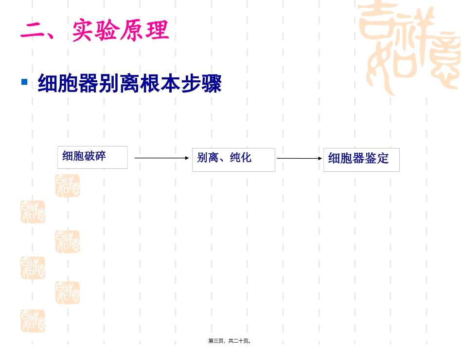 6细胞核和线粒体的分离和观察_第3页