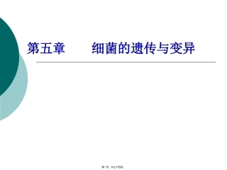 教学课件细菌的遗传与变异