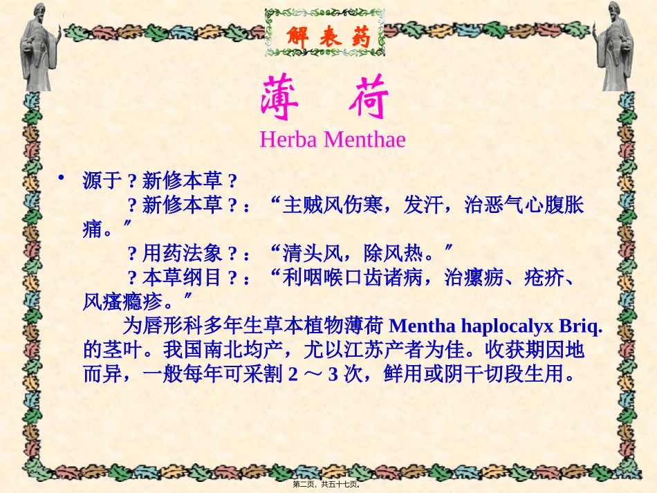 解表药发散风热药 中医教学课件_第2页