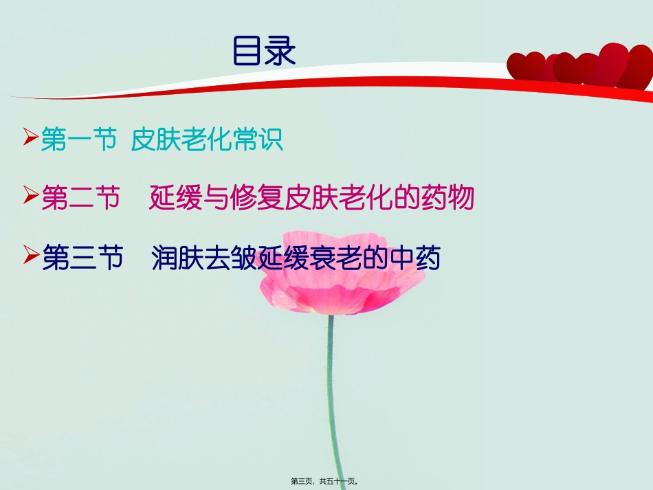 6延缓皮肤衰老药_第2页