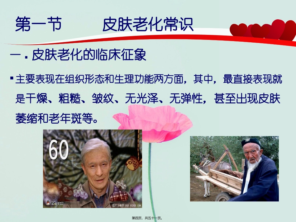 6延缓皮肤衰老药_第3页