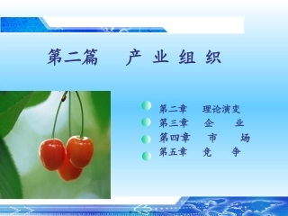 教学课件 产业组织理论演变