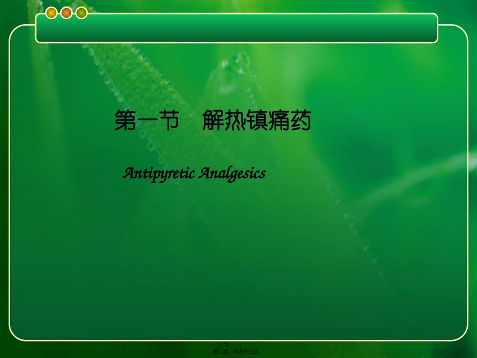 解热镇痛药和非甾体抗炎药 中药教学课件_第2页