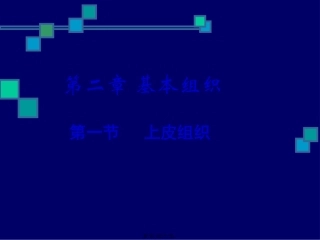 教学课件 第二章基本组织上皮组织和疏松结缔组织