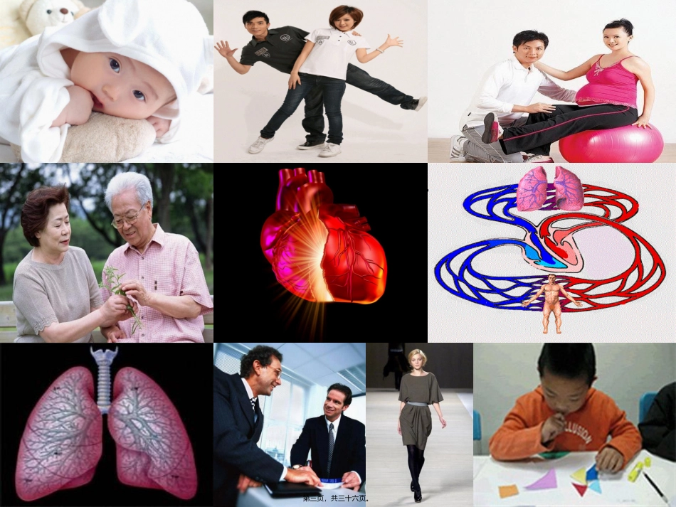 《烹饪营养学》第三讲-能量 旅游烹饪系 教学课件_第3页