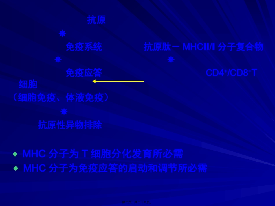 6主要组织相容性复合体_第2页
