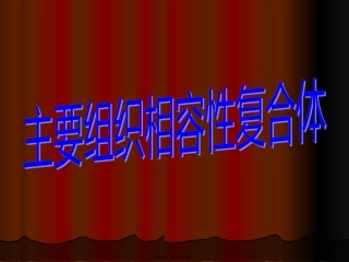 6主要组织相容性复合体