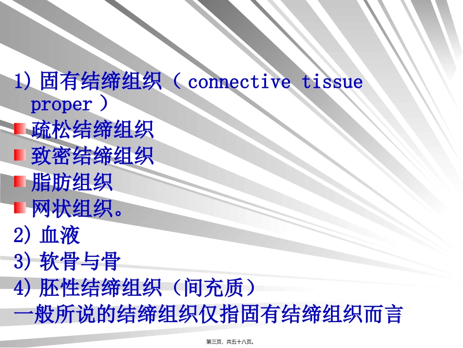 教学课件 第三章-结缔组织_第2页