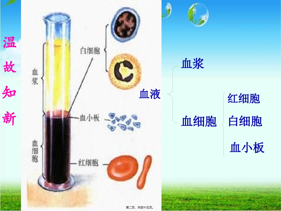 教学课件 第四节--输血与血型_第2页