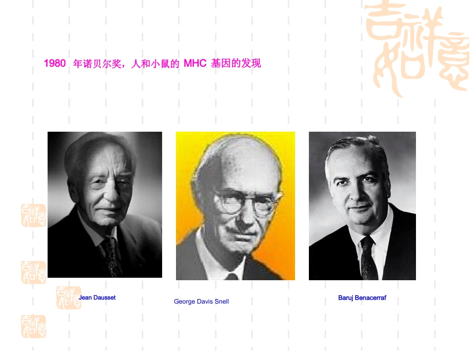 6-主要组织相容性复合体及其编码分子2016_第3页