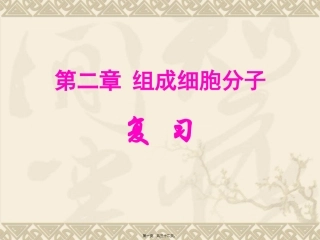 6组成细胞的分子第2章复习