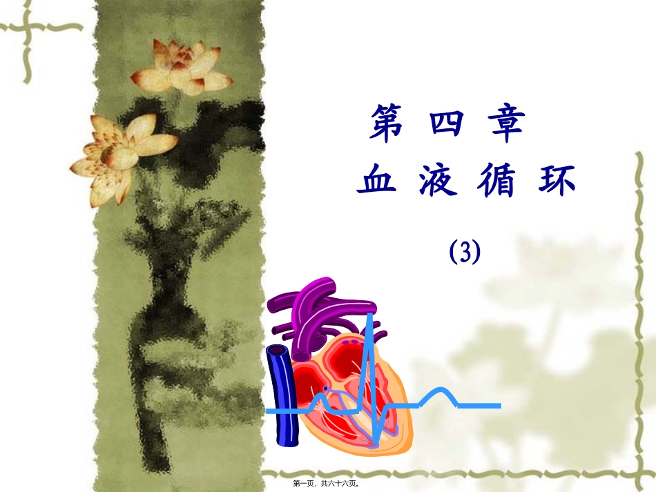 教学课件 第四章-血液循环_第1页