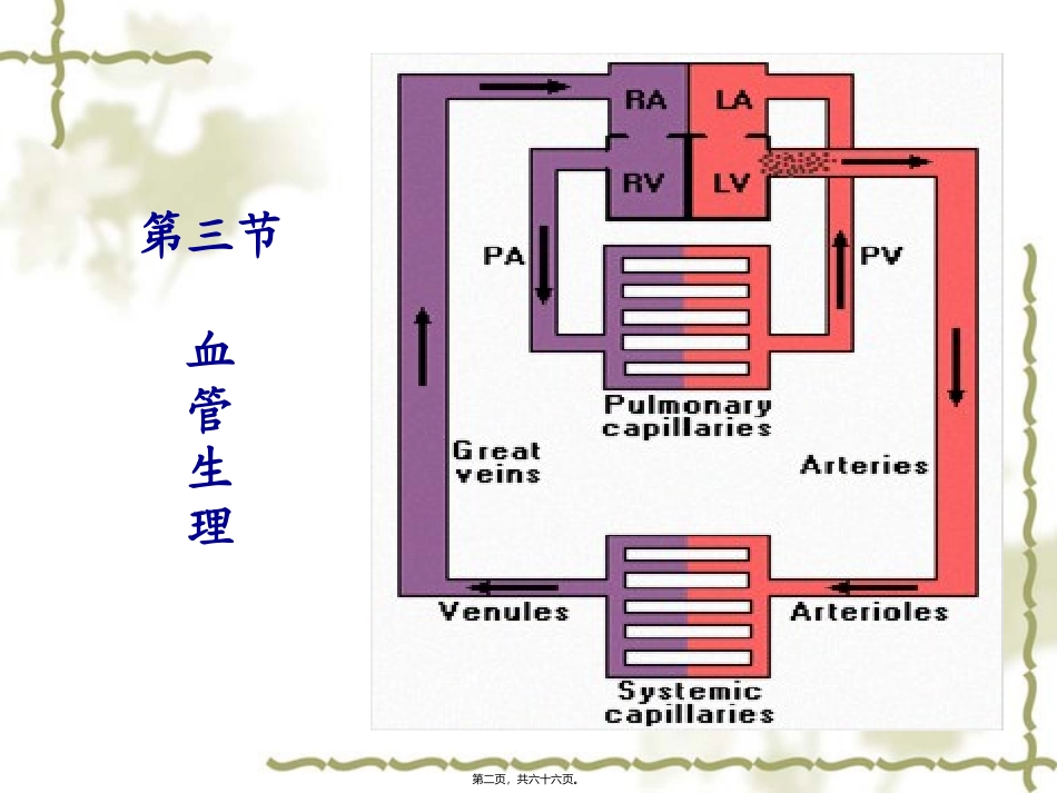 教学课件 第四章-血液循环_第2页