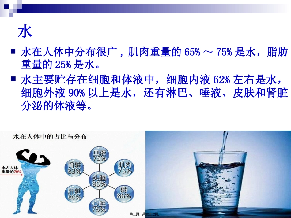 《烹饪营养学》-第十四讲-水与谷类原料的营养价值  旅游烹饪系 教学课件_第3页