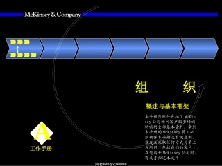 007麦肯锡-麦肯锡组织咨询手册全解