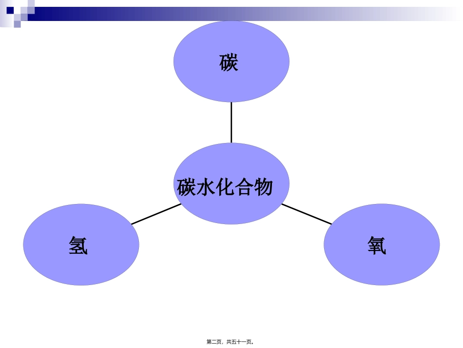 《烹饪营养学》第五讲-碳水化合物  旅游烹饪系 教学课件_第2页