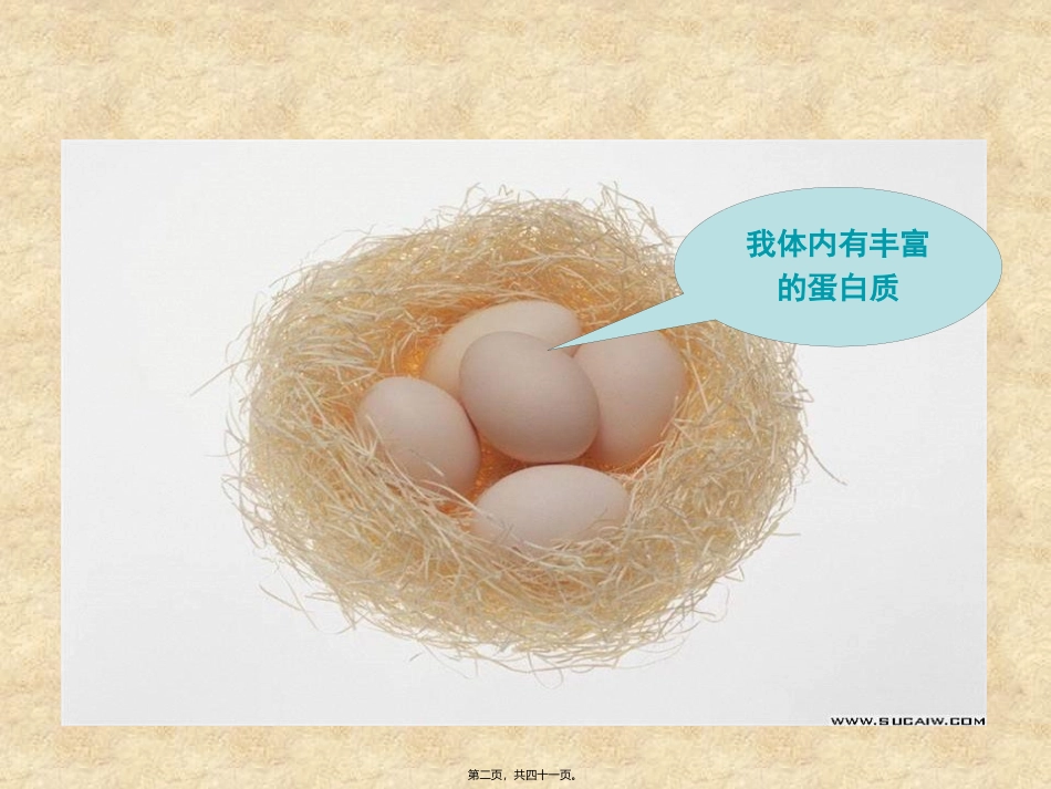 教学课件 生命活动的主要承担者—蛋白质_第2页