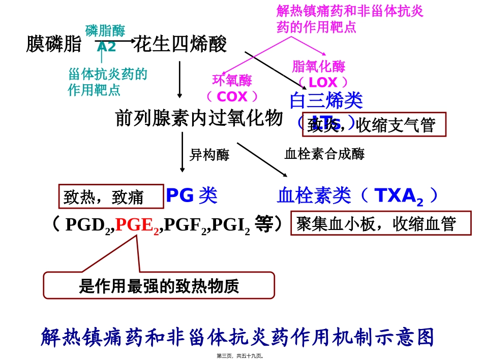 教学课件第三章 解热镇痛药和非甾体抗炎药_第3页