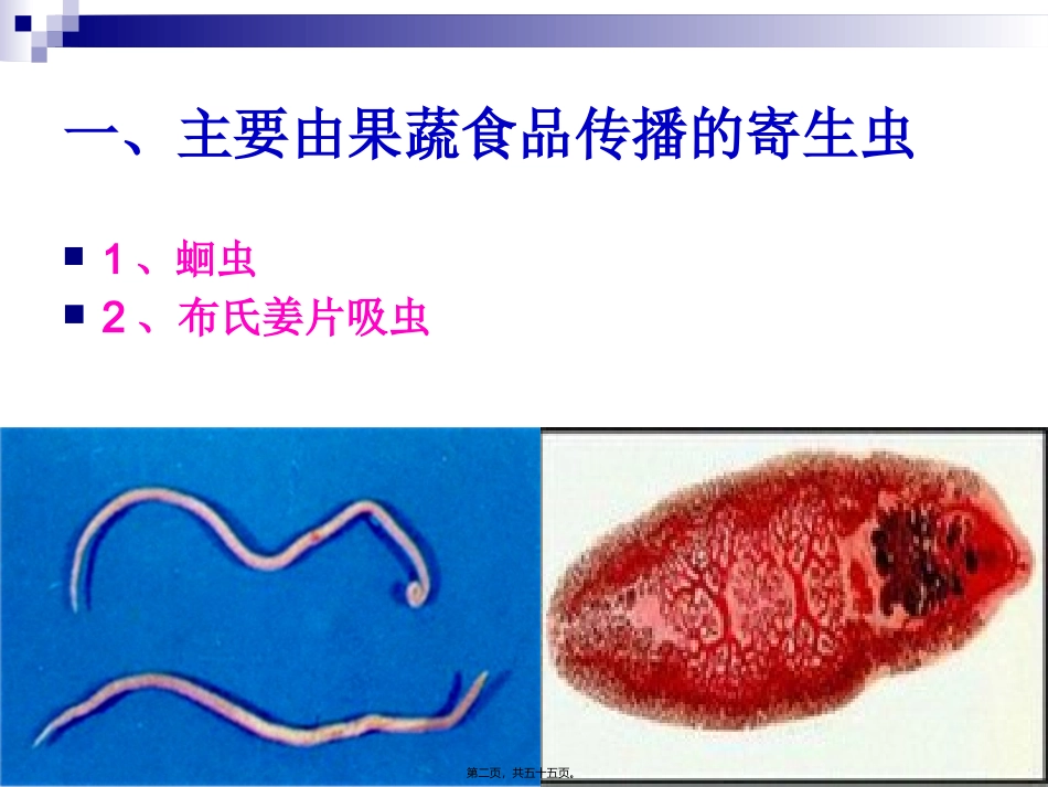 《烹饪营养与卫生》-第十六讲-食源性寄生虫病及其控制 烹饪管理系 教学课件_第2页