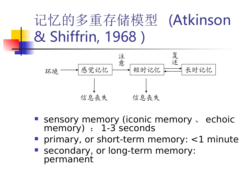 07-工作记忆与记忆系统_第3页